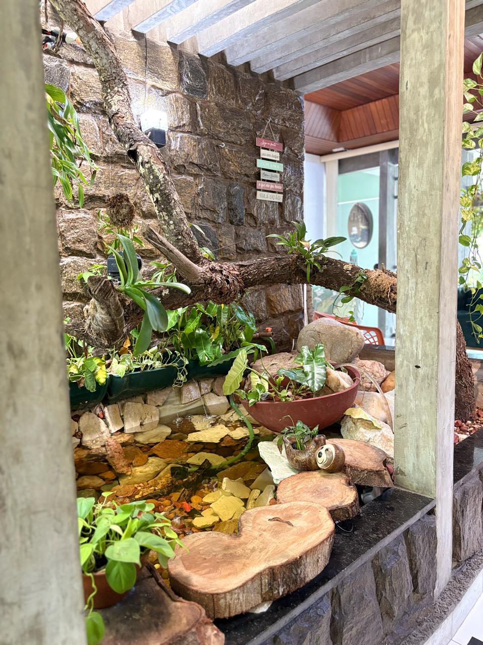 Detalhes em madeira e plantas que remetem à natureza e bem-estar.